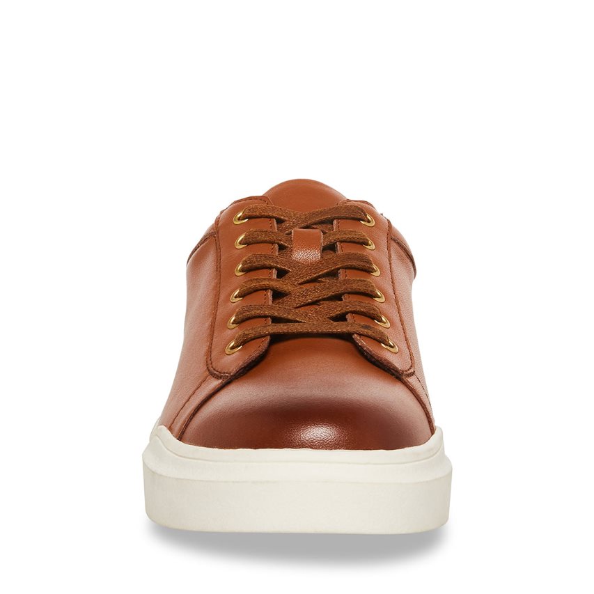 Brown Steve Madden Tilton Leather Men's Sneakers | PH 1279ENK